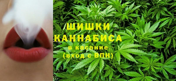трава Козельск