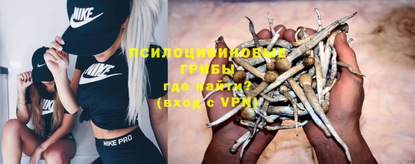 трава Козельск