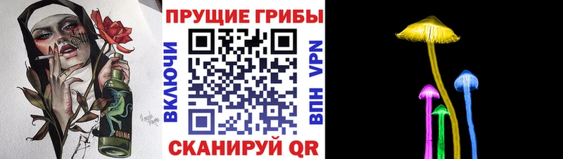 гидра ссылки купить наркоту Ладушкин Псилоцибиновые грибы мицелий